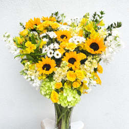 Floral Designer’s Choice - Sun Shades