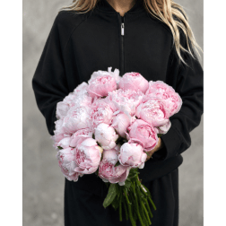 Person holding a bouquet of pale pink peonies