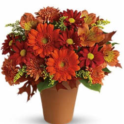 Orange and red daisy bouquet in a brown pot