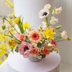 Bloomie's Choice