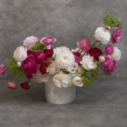 Pink and white ranunculus arrangement in a white vase
