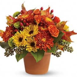 Autumn bouquet of orange and yellow flowers in a terracotta pot