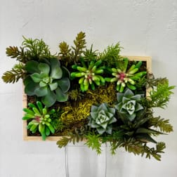 Rectangular succulent arrangement in a wooden frame on a clear stand