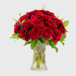 Two Dozen Long Stemmed Red Roses
