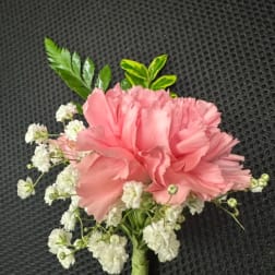 Pink carnation boutonniere with white baby's breath and green leaves