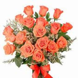 Orange Roses
