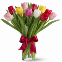 Bouquet of multicolored tulips tied with a red ribbon in a clear vase