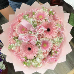 Pink Daisy