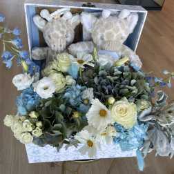 Welcome Little One – Giraffe Baby Bloom Box