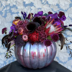 Dark Gothic Pumpkin