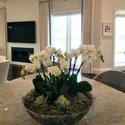White orchids arranged in a low bowl centerpiece on a table