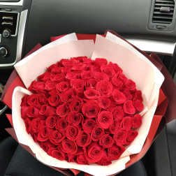 Large bouquet of red roses wrapped in white and red paper