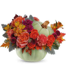 Sage Harvest Pumpkin Bouquet