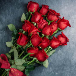 Bouquet of red roses with a red ribbon on a gray background