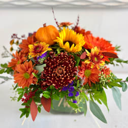 Autumn bouquet with orange and yellow flowers in a vase