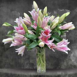 Lovely Lilies