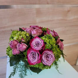 Low round arrangement of pink and lavender roses with green hydrangeas in a compact mound.