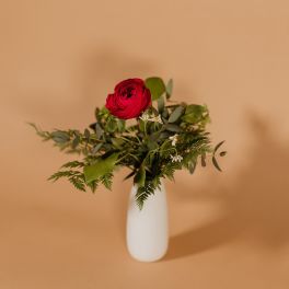 Red ranunculus bouquet in a white vase