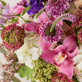 Bouquet of pink orchids, purple blooms, and white flowers