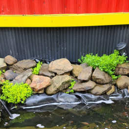 Rock-lined pond with floating green aquatic plants