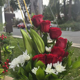 Red roses and white daisies arranged in a white vase