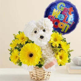 White flower dog arrangement with yellow daisies and a "Get Well Soon!" balloon