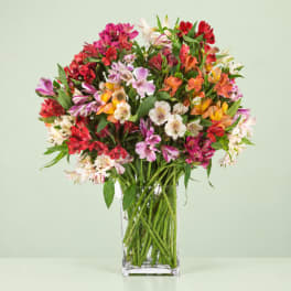 Colorful alstroemeria bouquet in a clear glass vase