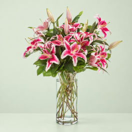 Pink stargazer lilies in a clear glass vase