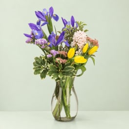 Mixed bouquet of purple irises and yellow tulips in a clear glass vase