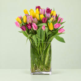 Colorful tulips arranged in a clear rectangular vase