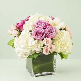 Pink roses and white hydrangeas in a clear square vase