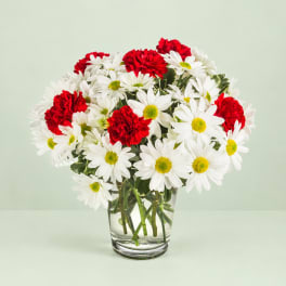 Red carnations and white daisies in a clear glass vase