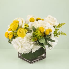 White and yellow floral arrangement in a clear square vase