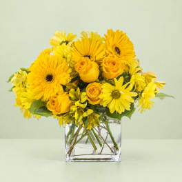 Yellow gerbera daisies and roses arranged in a clear glass vase