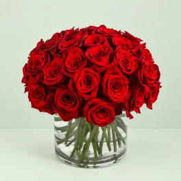 Red roses arranged in a clear glass vase
