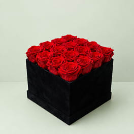 Red roses arranged in a black square box