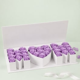 Purple roses arranged in three white heart-shaped gift boxes