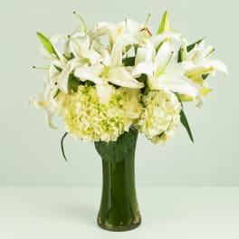White lilies and pale hydrangeas arranged in a tall glass vase