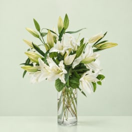 White lilies arranged in a clear glass vase