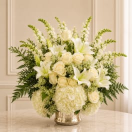 Beauty White