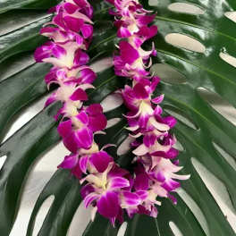 Purple orchid lei on large split-leaf greenery