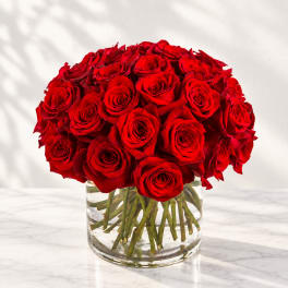 Red roses arranged in a clear glass vase