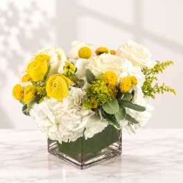 Yellow and white flowers arranged in a clear square vase