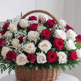 Basket of red and white roses with baby's breath