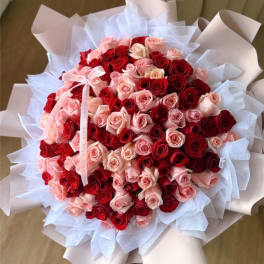 Large bouquet of red and blush pink roses wrapped in white paper