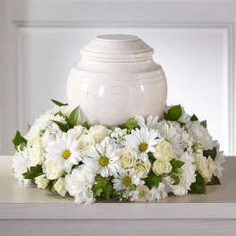 White funeral urn surrounded by white daisies and roses