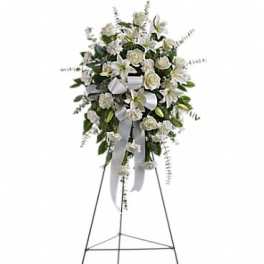 Sentiments of Serenity Spray