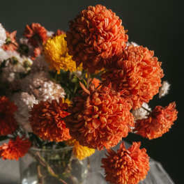 Orange and yellow chrysanthemum bouquet in a clear glass vase