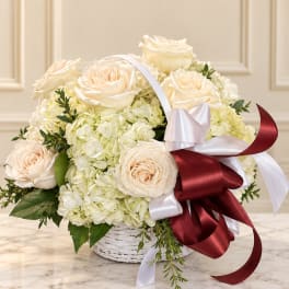 Cream roses and pale hydrangeas in a white basket with a burgundy ribbon