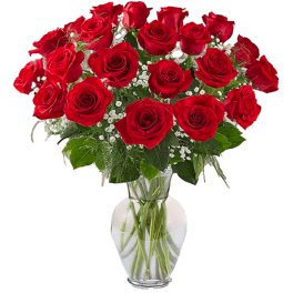 Arrangement of long-stem red roses with white filler flowers in a clear glass vase